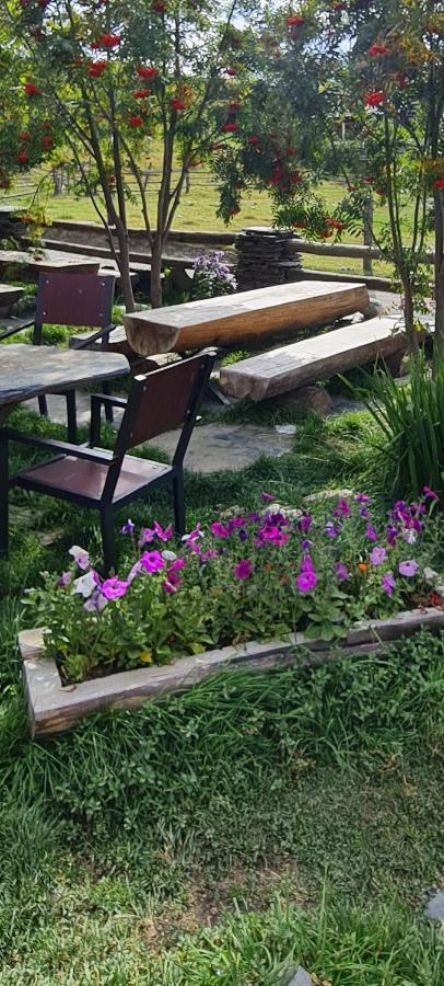 Guest House Shina Omalo 외부 사진